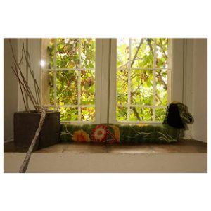 BaSE 63003 Shari Dog